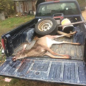 Meet your Posher, Allen